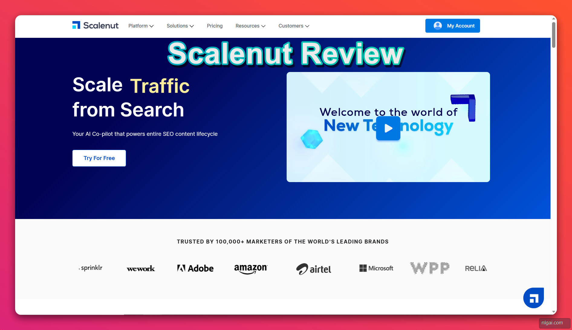 Scalenut Review